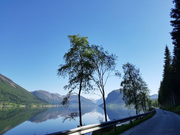Utsikten over en stille fjord som reflekterer fjell og trær i vannet