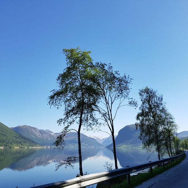 Utsikten over en stille fjord som reflekterer fjell og trær i vannet